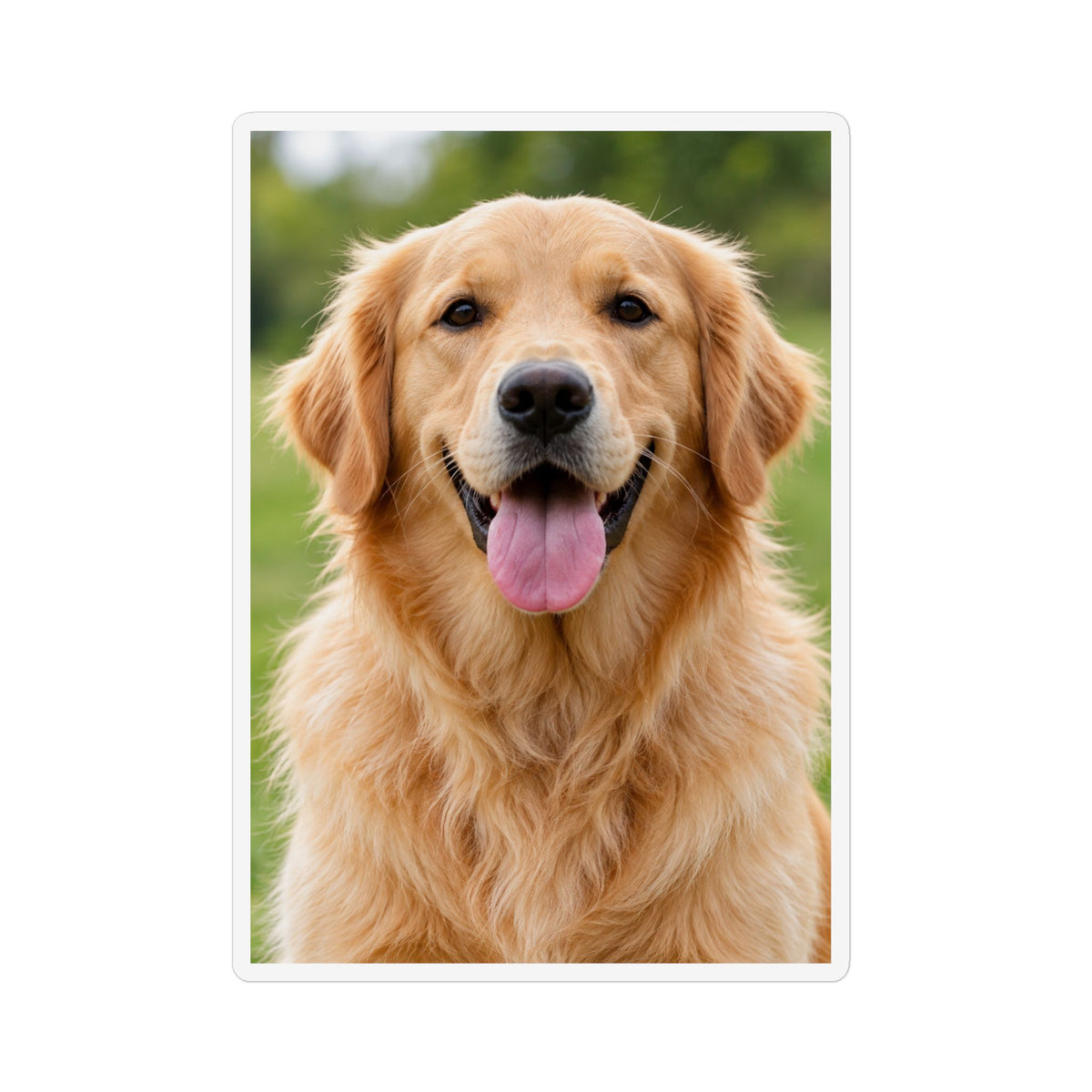 Personalized Photo & Text Custom Shape Magnet